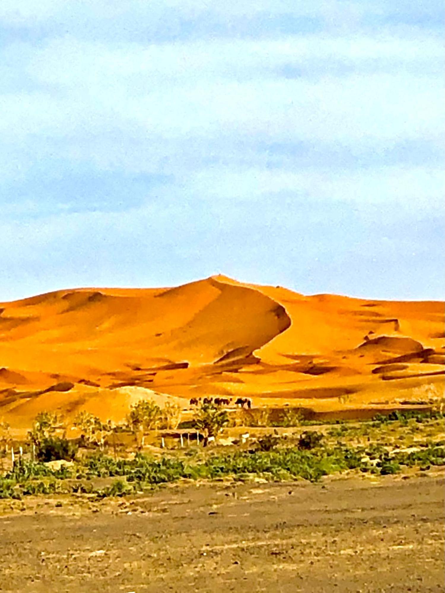 Bivouac La Fibule Des Dunes Merzuga Kültér fotó